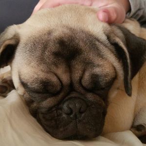 Meet your Posher, Meredith